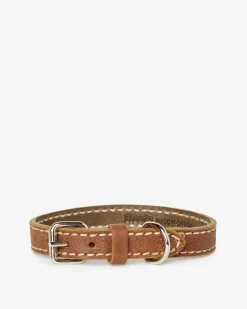 Roots Extra Small Leather Dog Collar*Women Pet