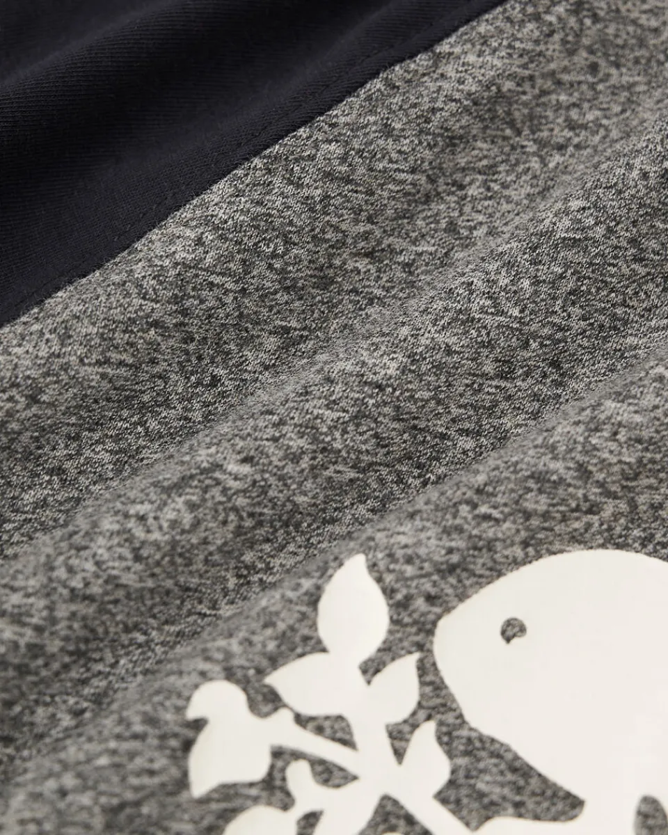 Roots Kids Cabin Baseball T-Shirt*Kids Tops|T-Shirts & Graphic Tees