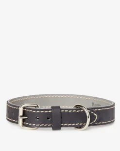 Roots Large Leather Dog Collar*Women Pet