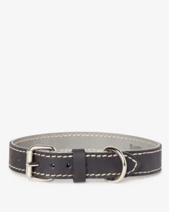 Roots Medium Leather Dog Collar*Women Pet
