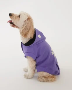 Roots Pooch Original Kanga Size 16-20*Women Pet