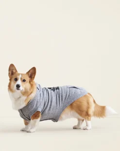 Roots Pooch Original Kanga Size 16-20*Women Pet