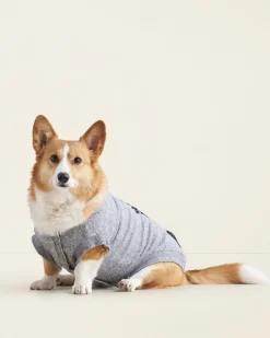 Roots Pooch Original Kanga Size 16-20*Women Pet