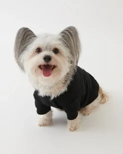 Roots Pooch Original Kanga Size 24*Women Pet